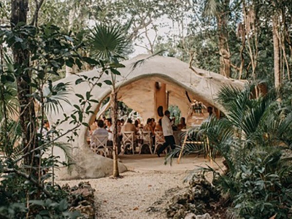 Cenote Elopement and small wedding: A Hidden Jungle Setting for Your Riviera Maya&nbsp;Event