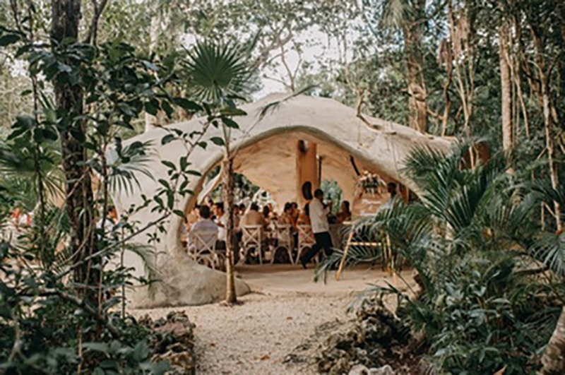 Cenote Elopement and small wedding: A Hidden Jungle Setting for Your Riviera Maya&nbsp;Event